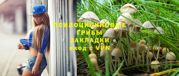 бутират Пролетарск