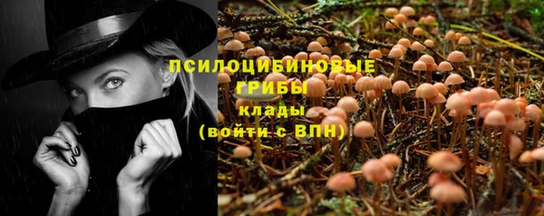 бутират Пролетарск
