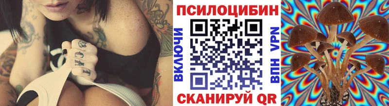 omg ССЫЛКА  наркота  Усть-Илимск  Псилоцибиновые грибы ЛСД 