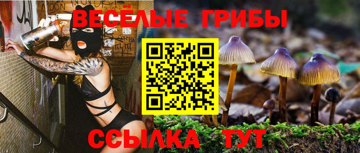 Галлюциногенные грибы GOLDEN TEACHER Усть-Илимск